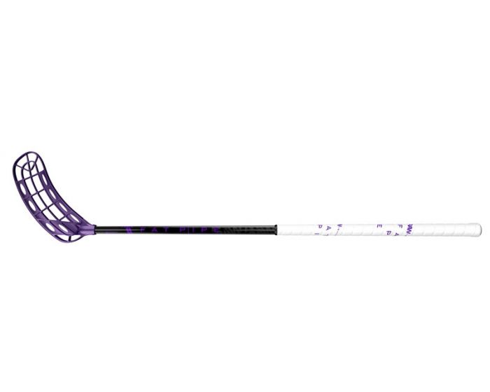 Fatpipe RAW Concept 29 Purple 17/18 JAB