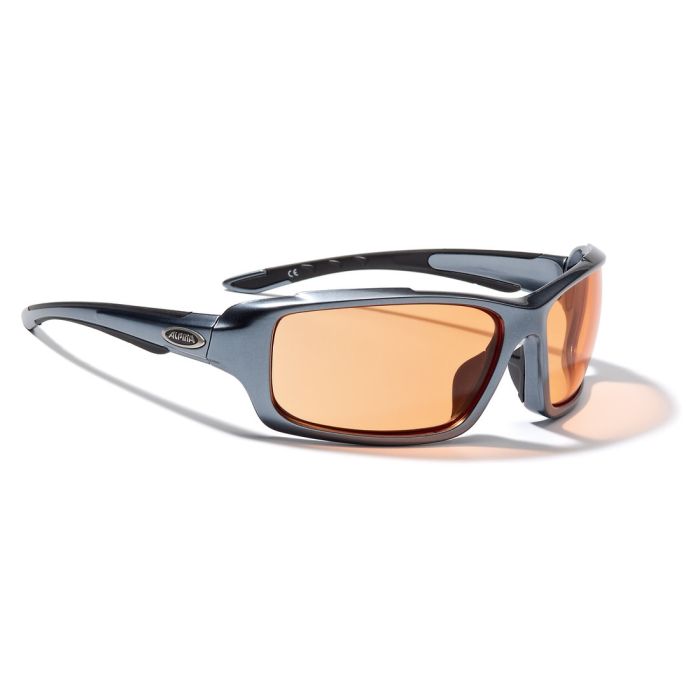 Alpina Callum Schutzbrille