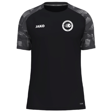 SC Oensingen Lions Trikot SONIC 