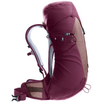 Deuter AC Lite 22 SL