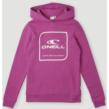 O'Neill Cube Hoodie 