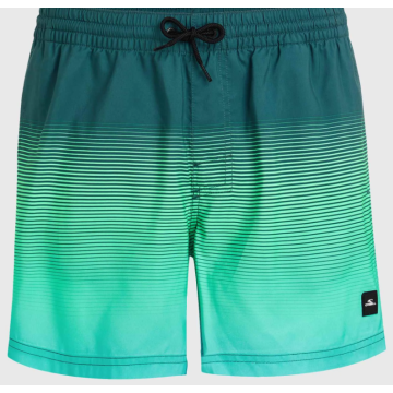 O'Neill Jack O'Neill Cali Gradient 14'' swim shorts beetle juice simple gradient panel